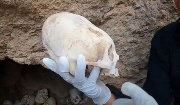 Обнаруженные в Перу вытянутые черепа принадлежат инопланетянам?