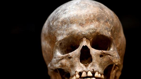 Ученые избили «бородатый» череп и получили Шнобелевскую премию мира